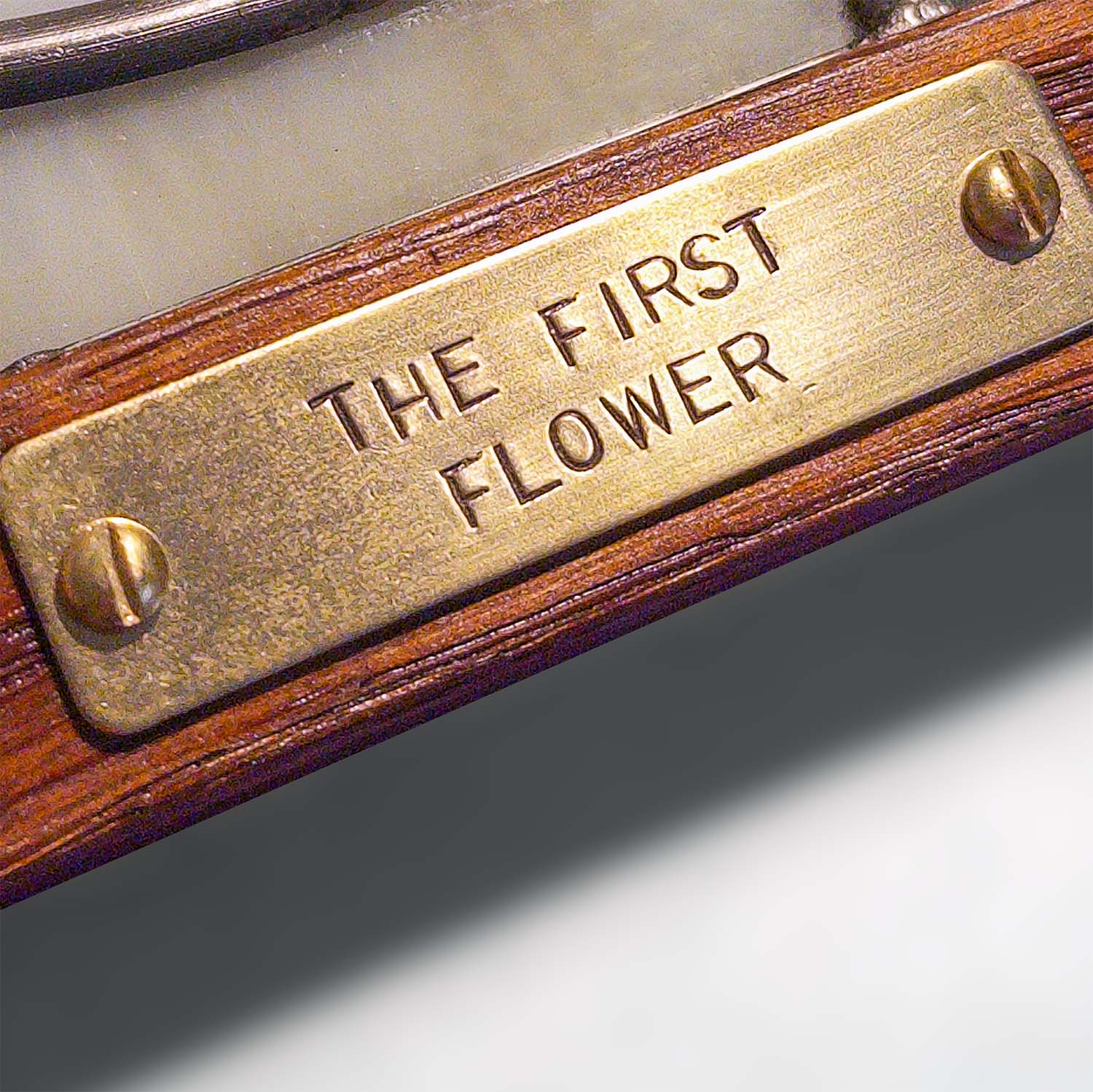 The First Flower (Caramel) - Glass Window Art Panel